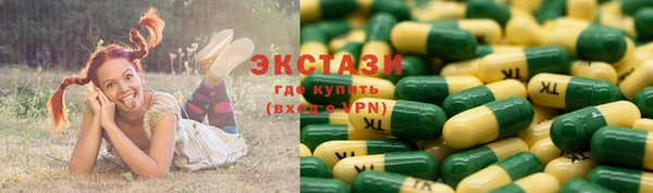 соль ск Каменка