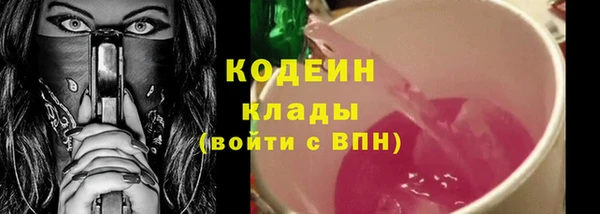 соль ск Каменка