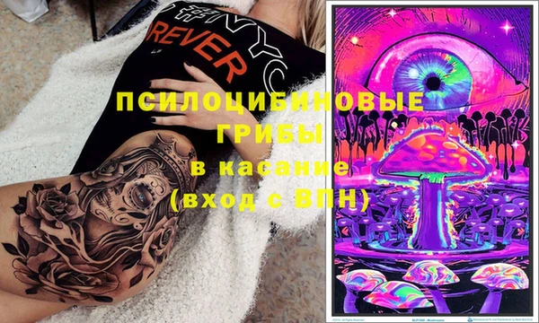 прущая мука Касимов