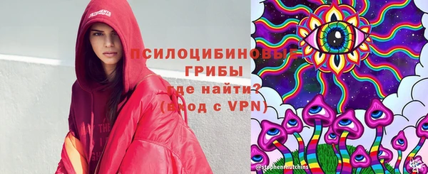 соль ск Каменка