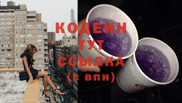 скорость Каменногорск