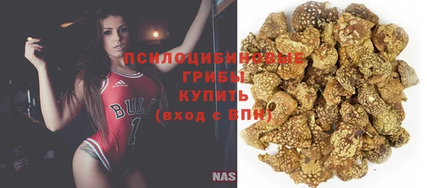 стаф Киренск